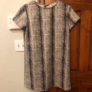 Snakeskin shift dress short sleeve size small